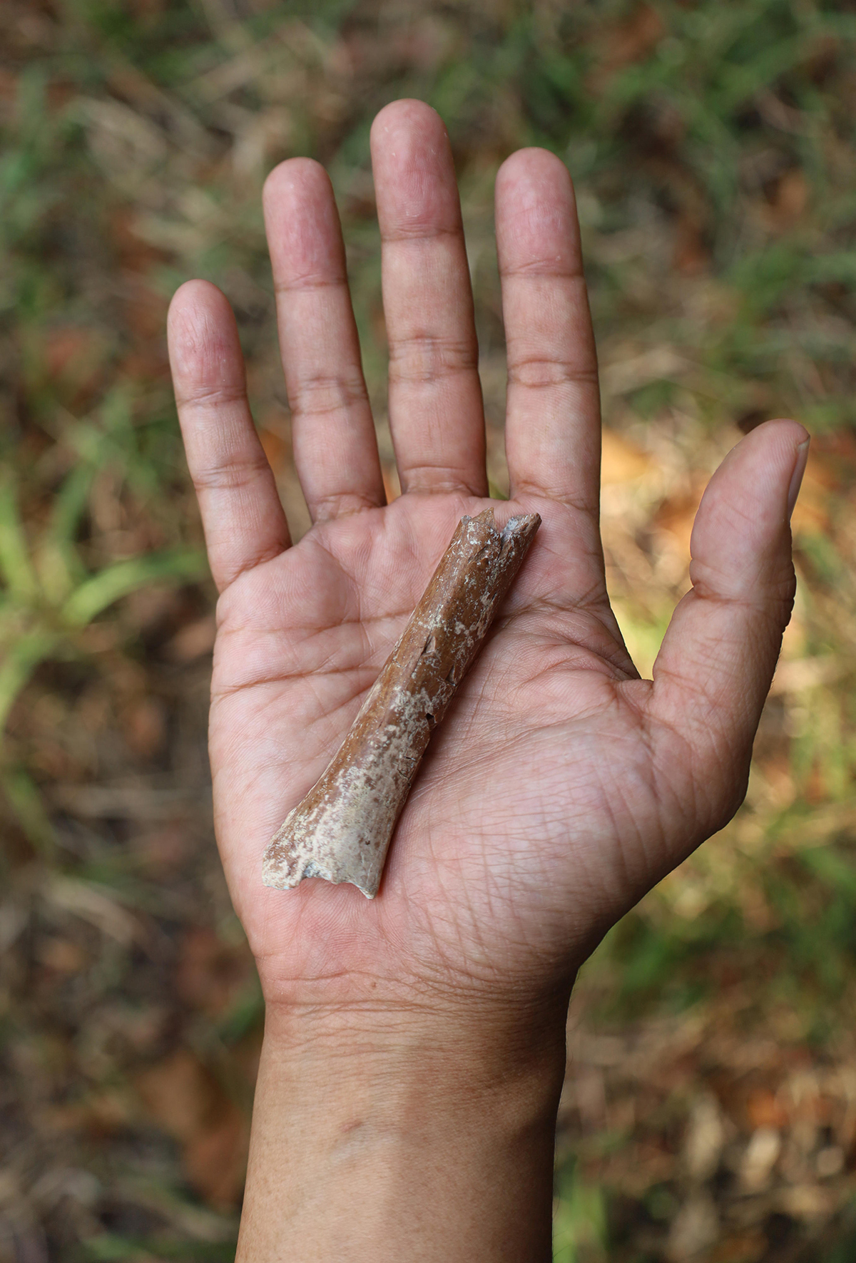 The scientist holds the remains of 