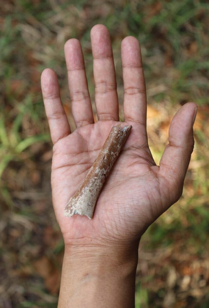 The researcher shows a small hand bone in his hand.