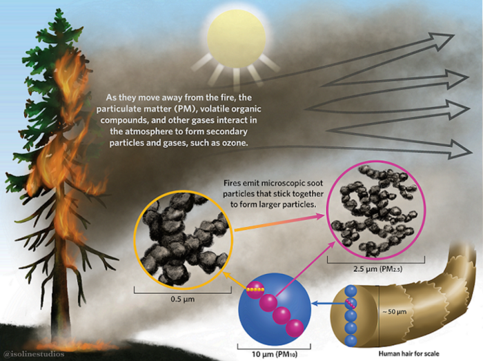 A diagram showing the properties of smoke particles.